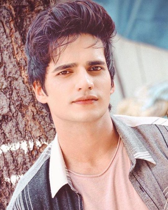 aashish bhardwaj