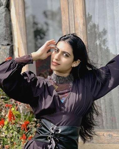 aishu ads