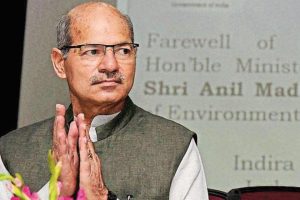 anil madhav dave