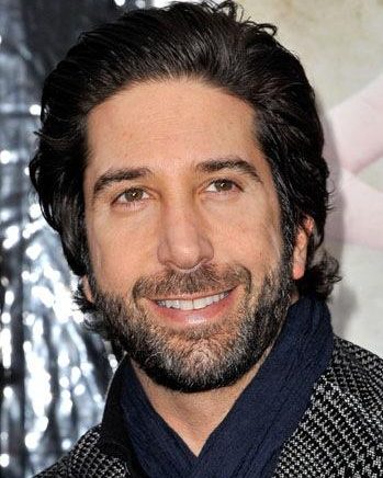 David Schwimmer 11 david schwimmer