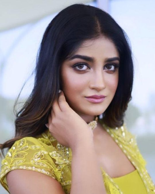 Dimple Hayathi 17 dimple hayathi