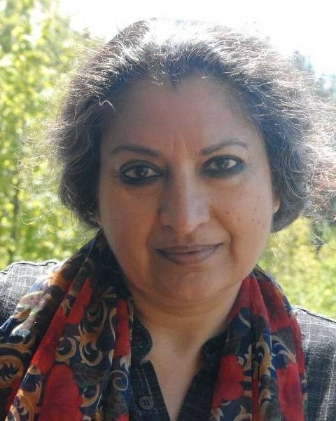 Geetanjali Shree 20 geetanjali shree