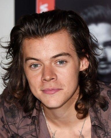 harry styles