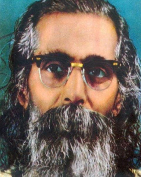 M. S. Golwalkar 11 m. s. golwalkar