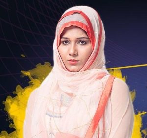 mehjabi siddiqui