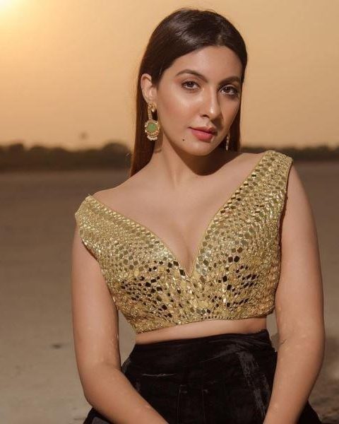 niki mehra