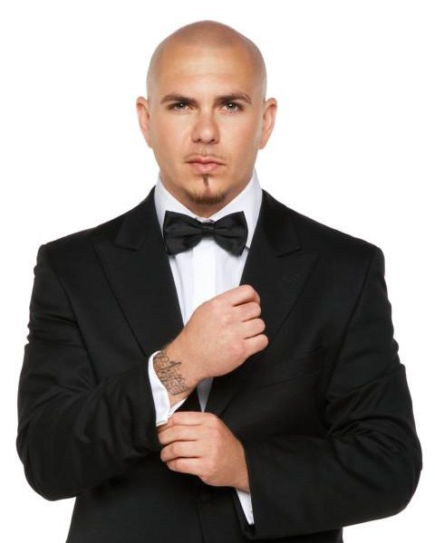 Pitbull 13 pitbull