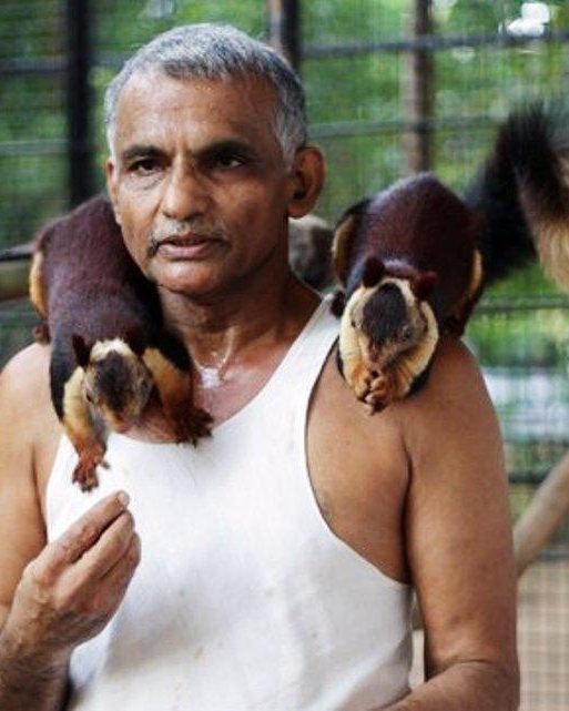 Prakash Amte 9 prakash amte
