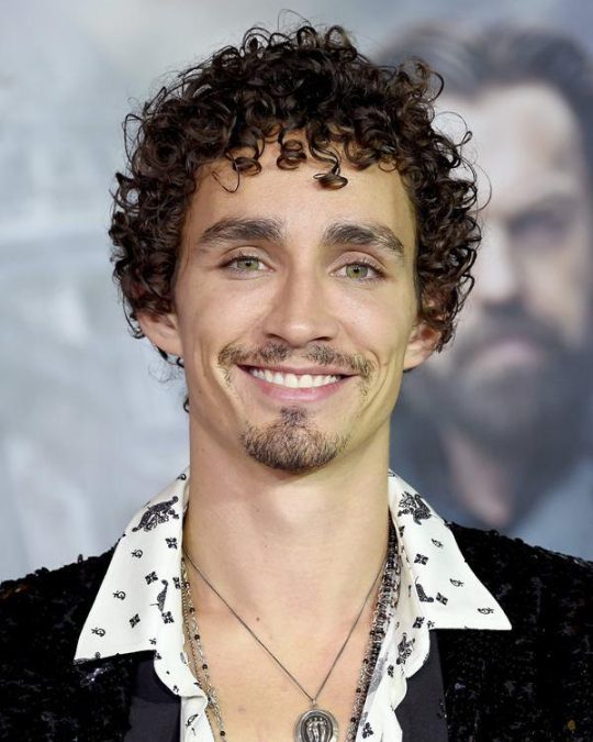 robert sheehan