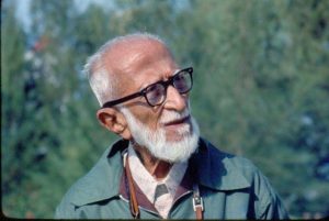 salim ali