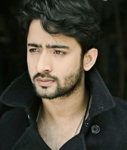 shaheer sheikh