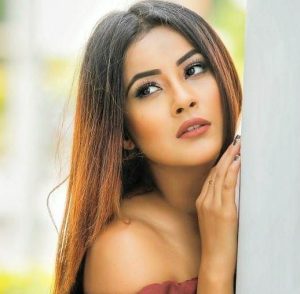 shehnaz kaur gill