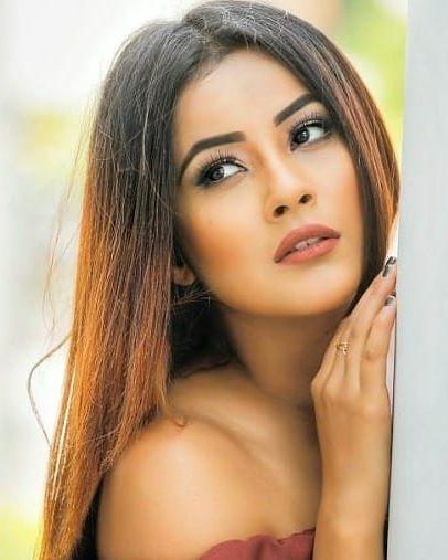 shehnaz kaur gill