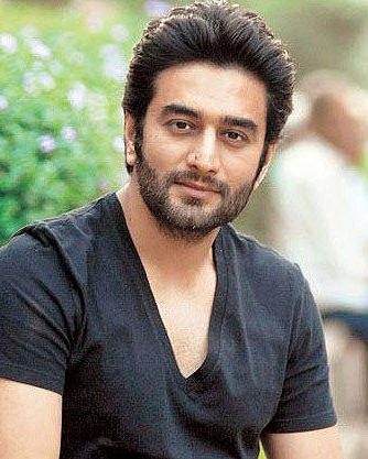 Shekhar Ravjiani 8 shekhar ravjiani