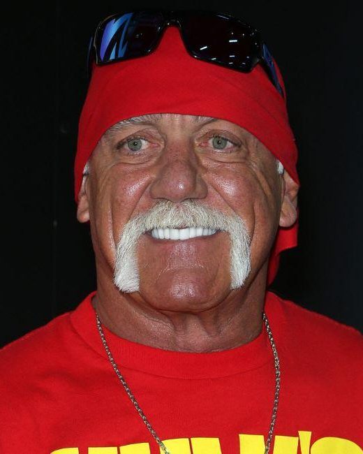 hulk hogan