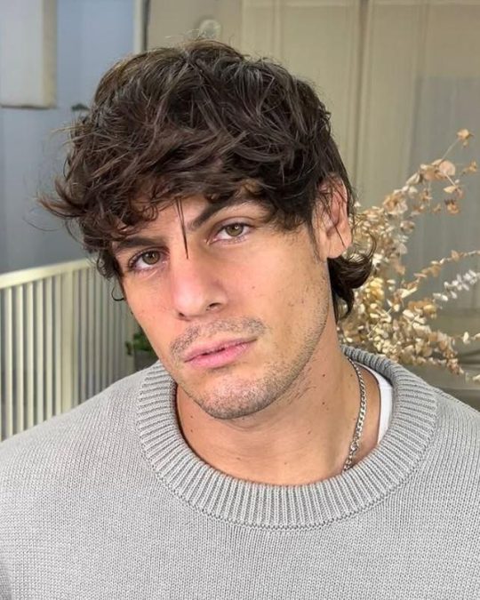 renato rossini jr.