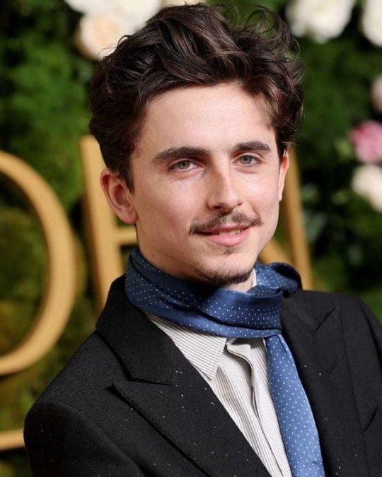 Timothée Chalamet 10 timothée chalamet