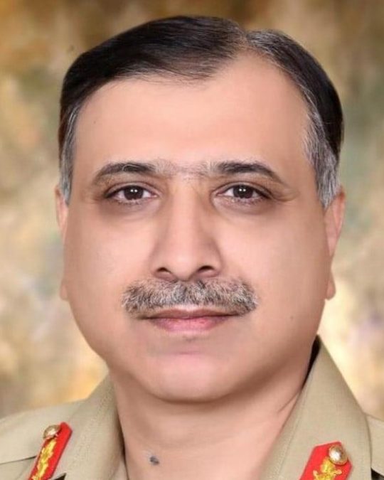 Profile 13 muhammad asim malik