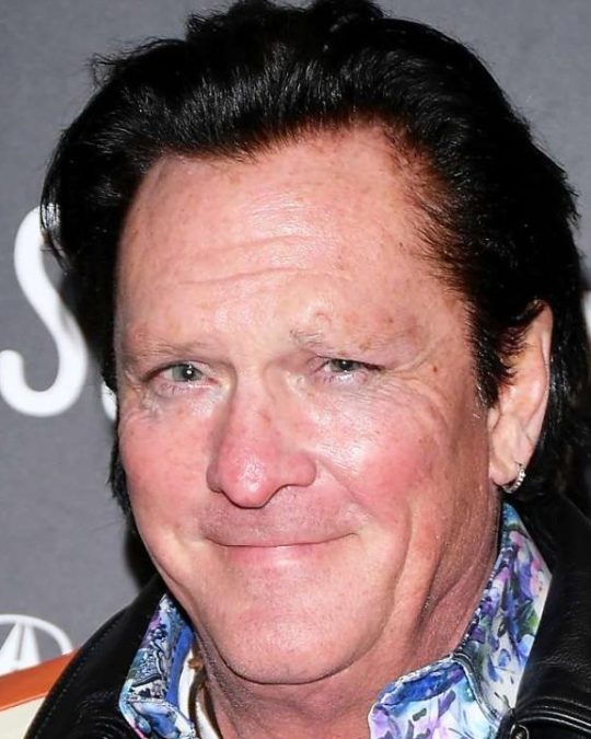 michael madsen
