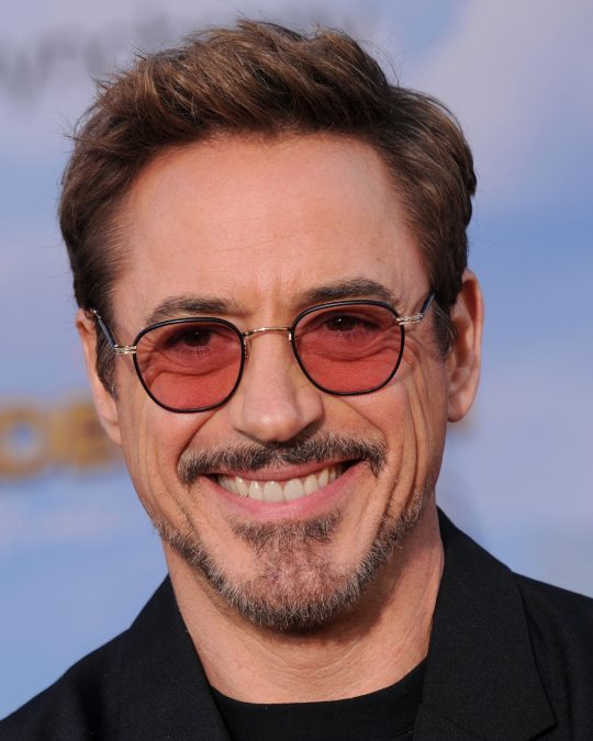 robert downey jr