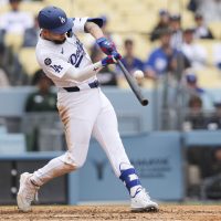 andy pages 1775966836