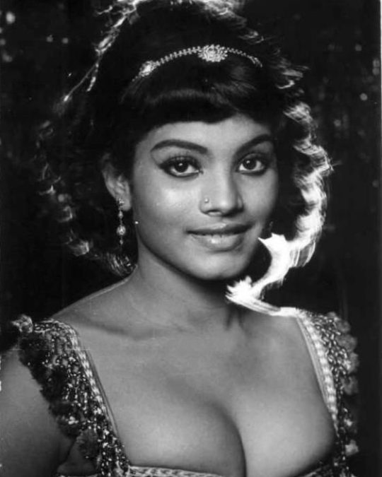 Disco Shanti 6 disco shanti 1776694020