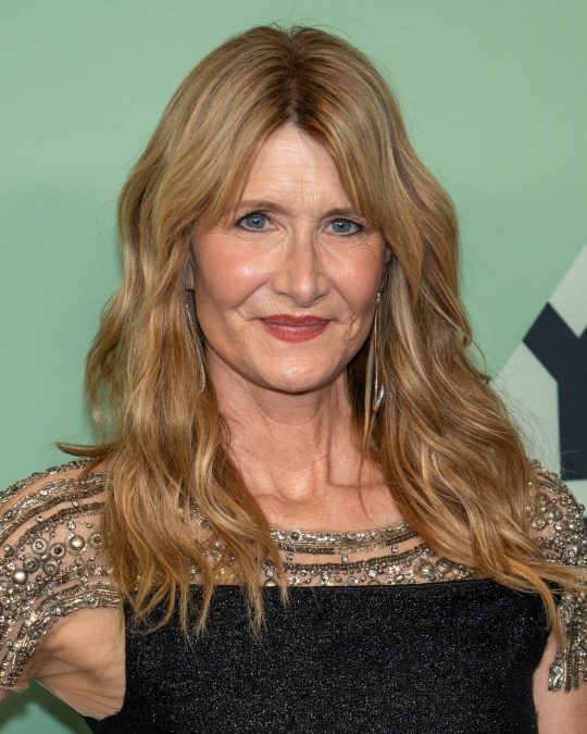 Laura Dern 11 laura dern 1777010814