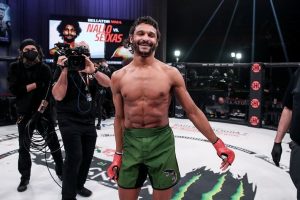 mandel nallo 1776546404