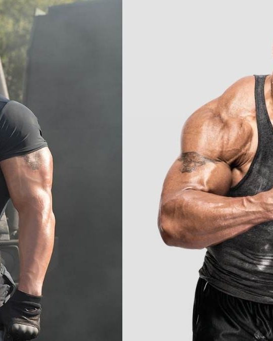 The Rock 14 the rock 1776647249