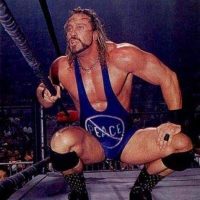 van hammer 1776625599