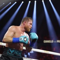 canelo alvarez 1778306807