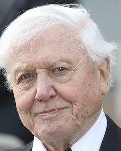 David Attenborough 6 david attenborough 1778209642