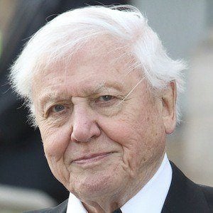 david attenborough 1778209642