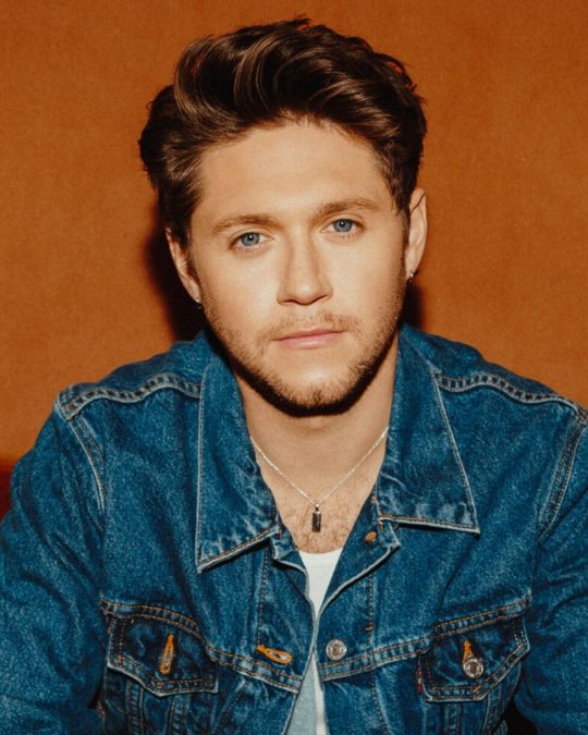 Niall Horan 6 niall horan 1779671230