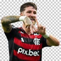leo pereira 1781388425