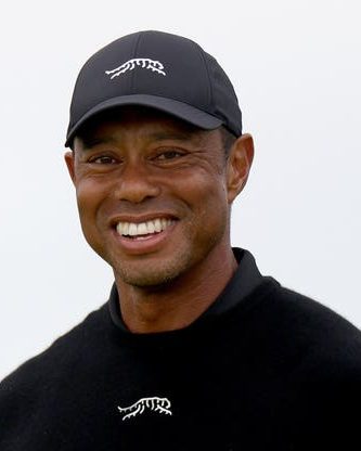 Tiger Woods 15 tiger woods 1782245233