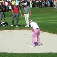 Ian Poulter