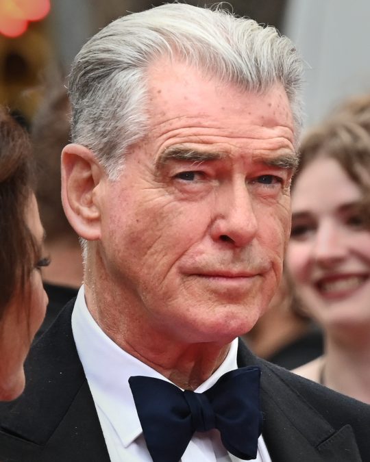 Pierce Brosnan 15 pierce brosnan 1784257675