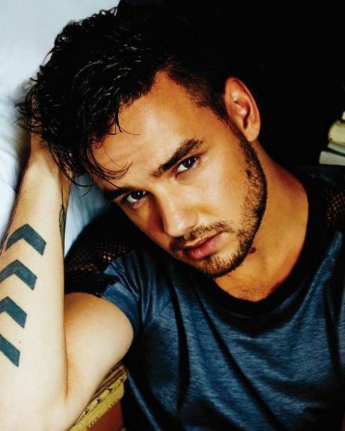 Liam James Payne 4 liam james payne 1788145316