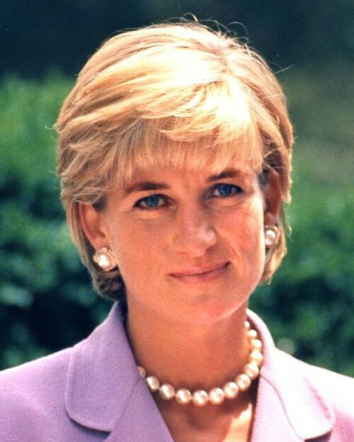 Princess Diana 16 princess diana 1788151658