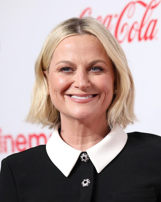 Amy Poehler 100 amy poehler 1788493662