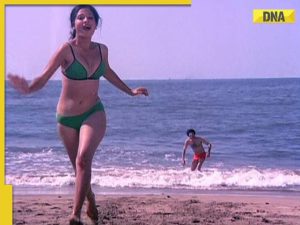 nazneen merchant 1788240751
