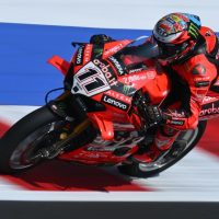 nicolo bulega 1789649277