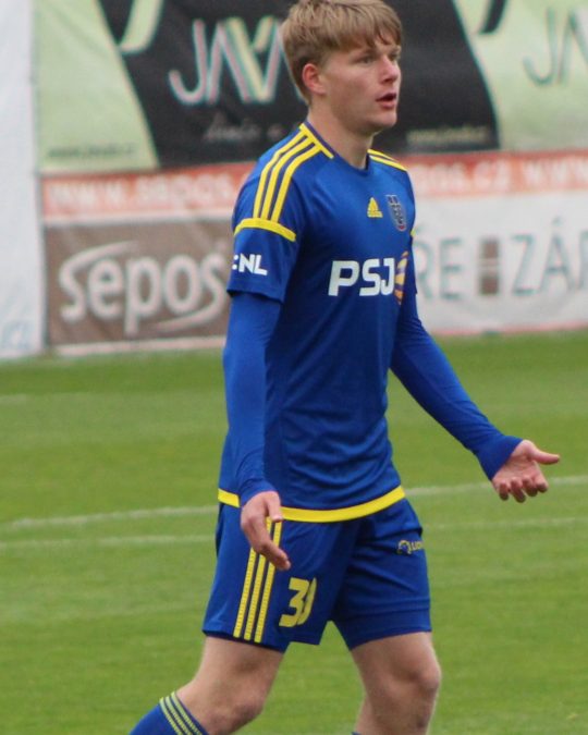 Pavel Šulc 15 pavel sulc 1790711272