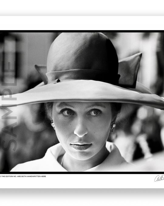 Princess Anne 17 princess anne 1788241949