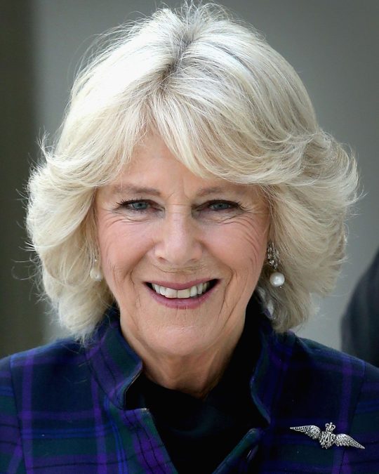 Queen Camilla 2 queen camilla 1788216453