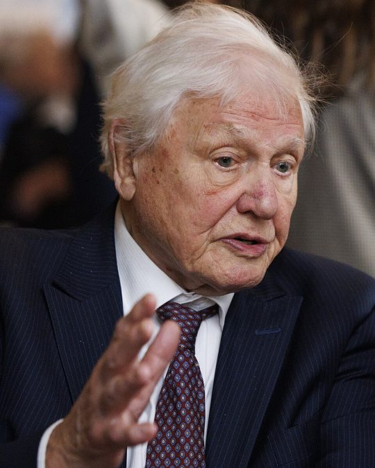 Sir David Attenborough