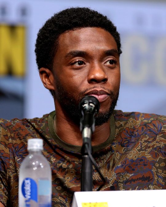 Chadwick Boseman 15 Chadwick Boseman