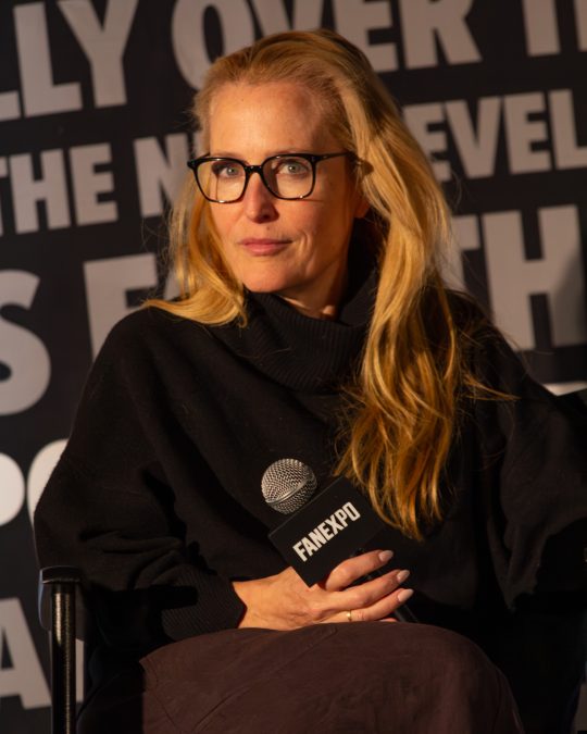 Gillian Anderson 16 gillian anderson 1791186495