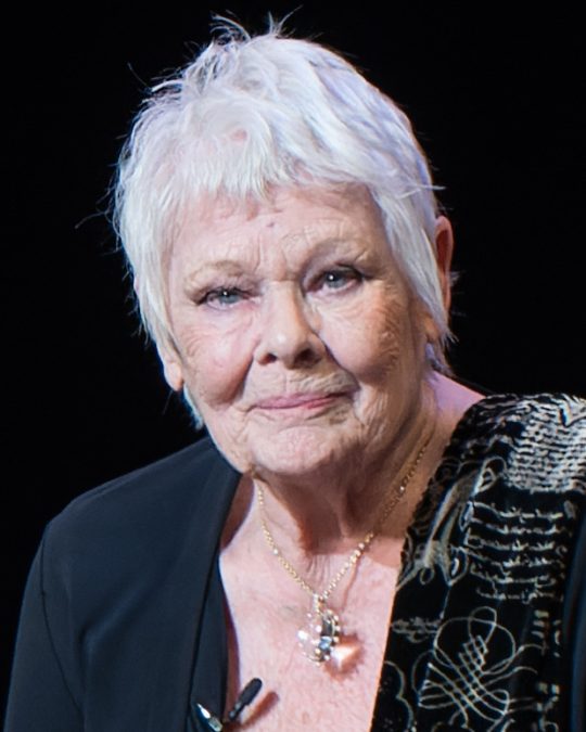 Judi Dench 16 judi dench 1791132477